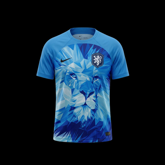 Netherlands SPECIAL EDITION JERSEY 2024/25